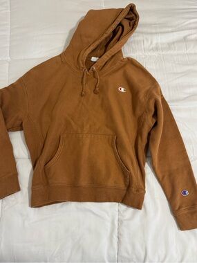 Champion Rust Brown Pullover Hoodie with Small Logo